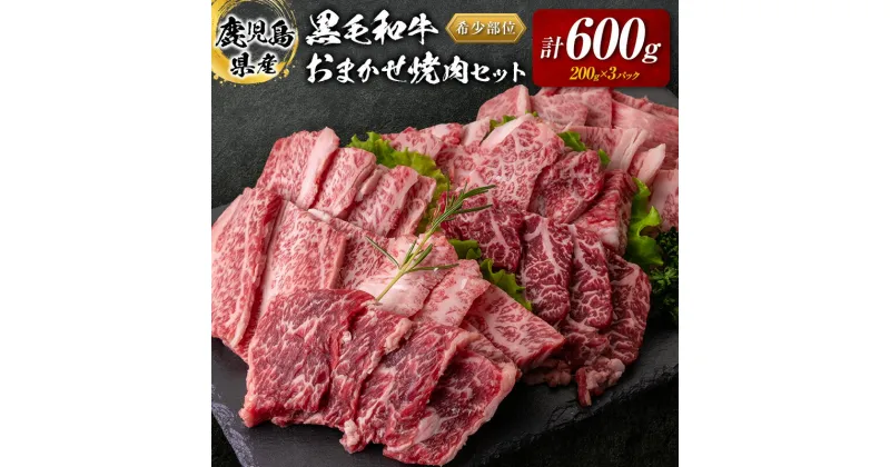 【ふるさと納税】 鹿児島県産 黒毛和牛 おまかせ 焼肉 600g 送料無料 鹿児島市 九州 お取り寄せ 特産品 お土産 贈り物 プレゼント ギフト 肉 希少 部位 厳選 ミスジ 三角バラ ショートリブ フランク カイノミ 小分け 冷凍 ストック 便利 MZ2