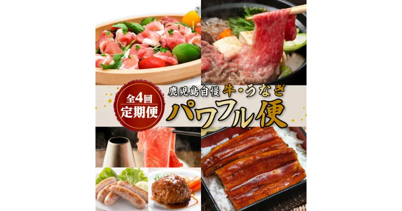 【ふるさと納税】【全4回】 鹿児島自慢 牛 ・ うなぎ 「パワフル便」 送料無料 鹿児島市 九州 お取り寄せ グルメ 特産品 お礼の品 お土産 贈り物 プレゼント ギフト 定期 肉 豚 和牛 黒豚 蒲焼き すき焼き しゃぶしゃぶ 冷凍 惣菜 便利