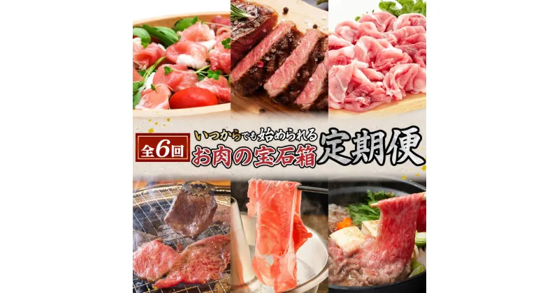 【ふるさと納税】【全6回】お肉 の 宝石箱 定期便 〈いつからでも始められる〉送料無料 鹿児島市 九州 お取り寄せ グルメ 特産品 お礼の品 贈り物 プレゼント ギフト 定期 豚 黒豚 牛 ステーキ すき焼き しゃぶしゃぶ 切り落とし 焼肉 冷凍