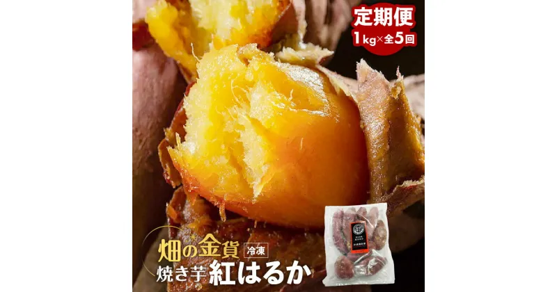 【ふるさと納税】【全5回】 畑の金貨 焼き芋 紅はるか 1kg 定期便 送料無料 冷凍 甘い 完熟 熟成 糖度 蜜 芋 さつまいも 急速冷凍 冷凍 産地直送 甘いも販売所 甘いも 甘芋 鹿児島市 土産 贈り物 プレゼント ギフト 贈答