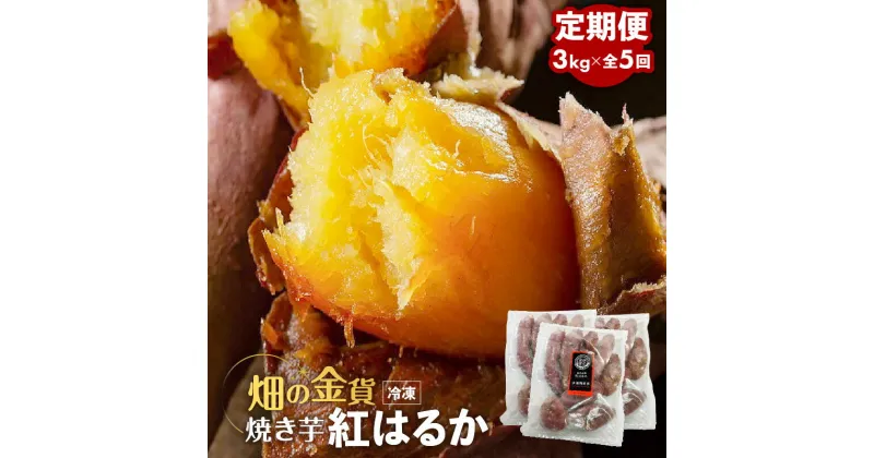 【ふるさと納税】【全5回】 畑の金貨 焼き芋 紅はるか 3kg 定期便 送料無料 冷凍 甘い 完熟 熟成 糖度 蜜 芋 さつまいも 急速冷凍 冷凍 産地直送 甘いも販売所 甘いも 甘芋 鹿児島市 土産 贈り物 プレゼント ギフト 贈答