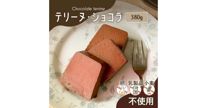 【ふるさと納税】【 洋菓子 】 テリーヌ ・ ショコラ 送料無料 数量限定 チョコレート ケーキ 菓子 スイーツ 甘い 手作り 冷凍 Tigre Chocolat 鹿児島市 土産 贈り物 プレゼント ギフト 贈答