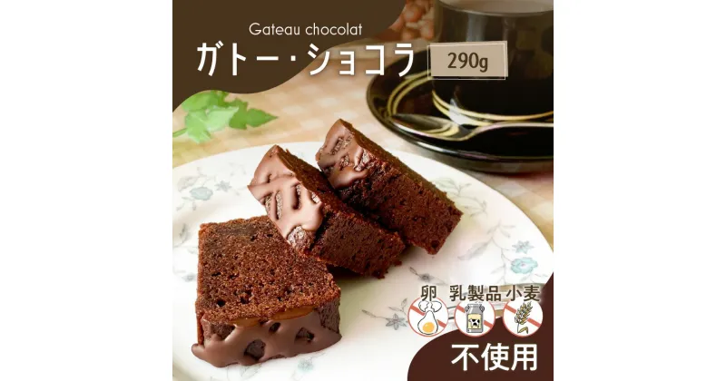 【ふるさと納税】【 洋菓子 】 ガトー ・ ショコラ 送料無料 数量限定 チョコレート ケーキ 菓子 スイーツ 甘い 手作り 冷凍 Tigre Chocolat 鹿児島市 土産 贈り物 プレゼント ギフト 贈答