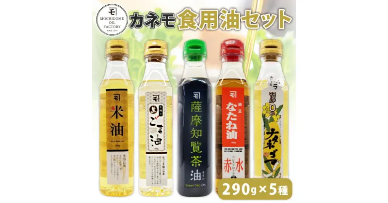 【ふるさと納税】カネモ 食用油 セット （ 290g × 5本セット ） 送料無料 調味料 油 オイル 植物油 なたね油 菜種油 赤水 ごま油 胡麻油 米油 生 知覧茶油 圧搾法 詰め合わせ バラエティ 持留製油 鹿児島市 土産 贈り物 プレゼント ギフト 贈答