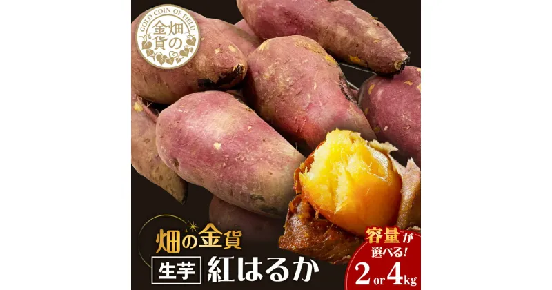 【ふるさと納税】 畑の金貨 生芋 紅はるか 容量が選べる 2kg or 4kg 送料無料 さつまいも 生 芋 野菜 長期 熟成 ねっとり しっとり 甘い 焼き芋 焼芋 天ぷら スイートポテト 大学芋 料理 加治木産業 甘いも 甘芋 鹿児島市 土産 贈り物 プレゼント ギフト 贈答