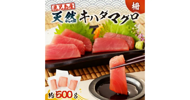 【ふるさと納税】 鹿児島産 天然 キハダマグロ 柵 約500g 鹿児島 おすすめ ランキング プレゼント ギフト 冷凍 魚 マグロ ブロック 刺身 生 マグロ丼 小分け 便利 鮮度 ボリューム 急速冷凍 真空 パック ノンドリップ ドリップなし 刺身維新 津曲商店