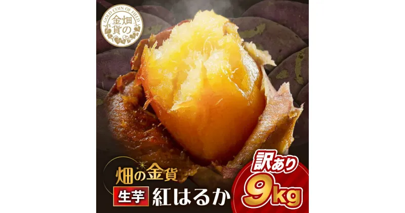 【ふるさと納税】 畑の金貨 生芋 訳あり 紅はるか 9kg わけあり 限定 規格外 野菜 さつまいも さつま芋 芋 焼き芋 スイーツ スイートポテト 大学芋 料理 大容量 産地直送 熟成 甘いも 甘芋 加治木産業 鹿児島 おすすめ ランキング プレゼント ギフト