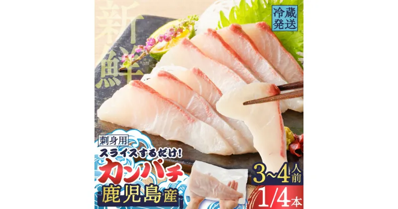 【ふるさと納税】 鹿児島産 スライスするだけ！ カンパチ 刺身用 1/4本 3〜4人前 魚 刺身 かんぱち 半身 柵 カルパッチョ ムニエル ソテー 照り焼き 焼き魚 生 冷蔵 便利 鮮度 真空パック 津曲商店 鹿児島 おすすめ ランキング プレゼント ギフト