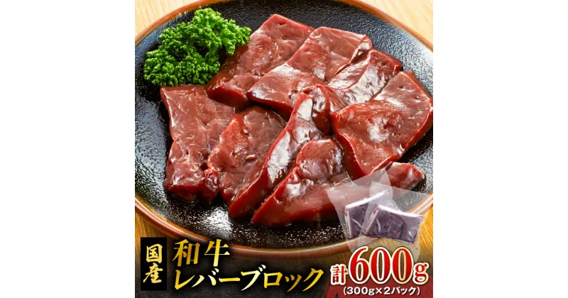 【ふるさと納税】 和牛 レバー ブロック 600g 300g 2パック 和牛レバー 黒毛和牛 牛 牛肉 肉 肝臓 牛の肝臓 安心安全 レバーブロック 国産 鉄分 冷凍 レバニラ 焼肉 加熱用 カミチク ふるさと納税 鹿児島 鹿児島市 おすすめ ランキング プレゼント ギフト MZ2