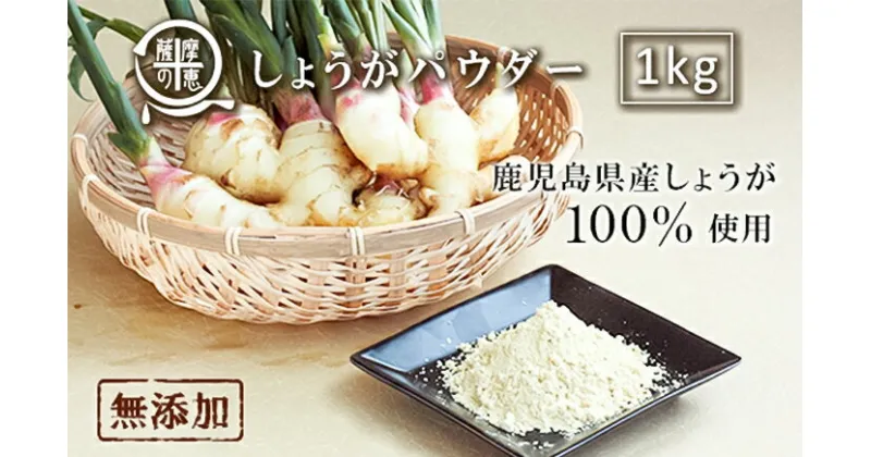 【ふるさと納税】 野菜100%パウダー しょうが（鹿児島産） 1kg【株式会社オキス】