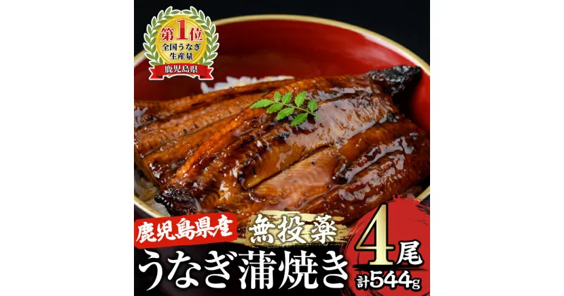 【ふるさと納税】＜国産＞ 鹿児島県大隅産！うなぎの蒲焼き4尾(計544g・136g×4尾)うなぎのたれ・山椒付き！無投薬にこだわり！鰻丼やひつまぶしにも！真空パックでお届け！【西日本養鰻】