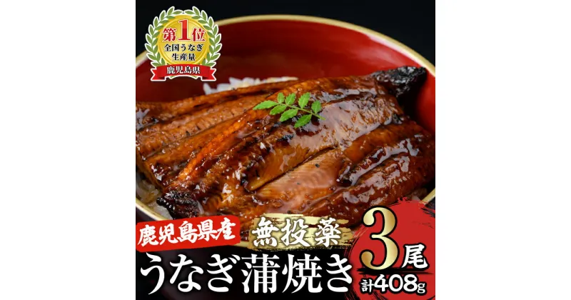 【ふるさと納税】＜国産＞ 鹿児島県大隅産！うなぎの蒲焼き3尾(計408g・136g×3尾)うなぎのたれ・山椒付き！無投薬にこだわり！鰻丼やひつまぶしにも！真空パックでお届け！【西日本養鰻】