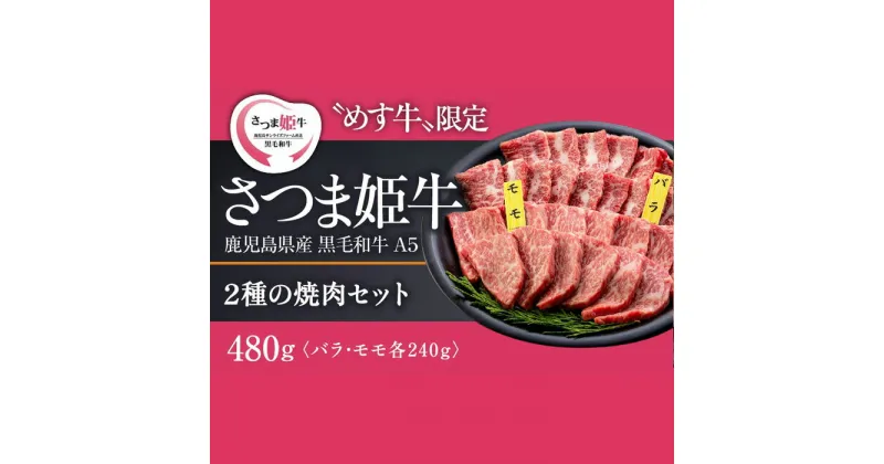 【ふるさと納税】【A5等級 未経産牝牛限定】＜鹿児島県産黒毛和牛＞さつま姫牛 焼肉用 セット2種 バラ・モモ 計480g（バラ肉 240g×1パック，モモ肉 240g×1パック）「SQF」の認証を取得し、世界基準に基づく安全・安心な商品！【鹿児島サンライズファーム】