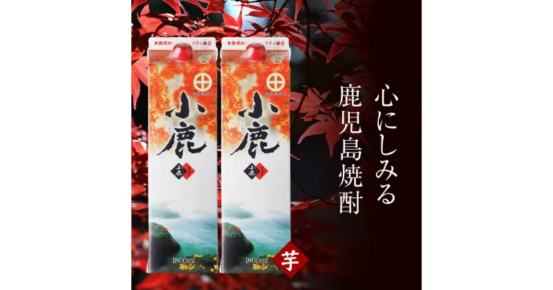 【ふるさと納税】芋焼酎「小鹿」紙パック計2本(1.8L×2本)白麹の華やかな香りとすっきりとした甘みの本格芋焼酎！お湯割り、水割り、炭酸水割にも！【財宝】