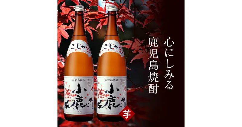 【ふるさと納税】芋焼酎「小鹿」一升瓶計2本(1.8L×2本)白麹の華やかな香りとすっきりとした甘みの本格芋焼酎！お湯割り、水割り、炭酸水割にも！【財宝】