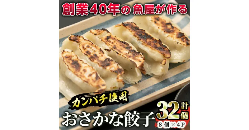 【ふるさと納税】創業40年の魚屋の「かのやカンパチ」を使ったおさかな餃子！カンパチと真鯛を使用してヘルシー、ジューシー！小分けで便利！【イズミダ】