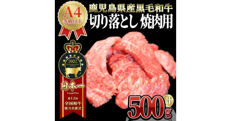 【ふるさと納税】うしの中山 切り落とし 焼肉 用 500g （500g×1パック） 和牛 黒毛和牛 牛肉 【株式会社nixy 中山亭 鹿屋店】