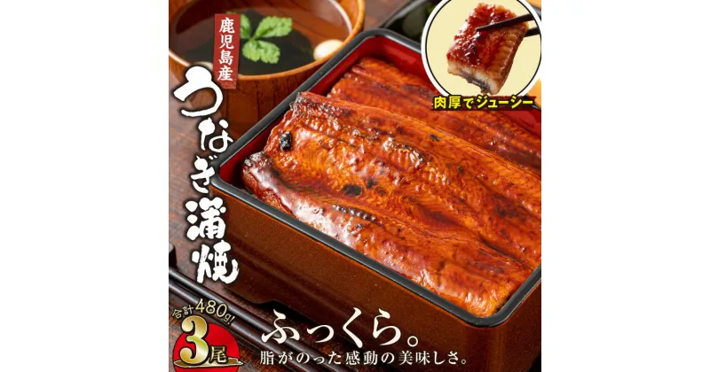 【ふるさと納税】うなぎ 蒲焼 鹿児島産 鰻 160g 3尾 合計480g 地下水で育った 絶品 蒲焼き 養殖 本場 鹿児島 より 直送 たれ 付 真空パック 湯煎 レンジ 簡単調理 国産 国産うなぎ うなぎ蒲焼 鹿児島県 鹿屋市 【財宝】