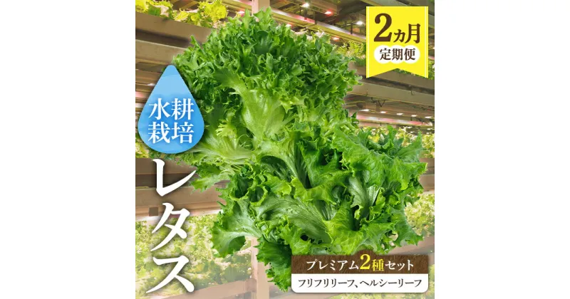 【ふるさと納税】【定期便全2回】【農薬不使用】洗わずに食べられるプレミアム水耕栽培レタス5袋を2ヶ月分（5袋×2ヶ月＝10袋） 鹿児島 サラダ 野菜 やさい レタス 定期便【旭信興産】