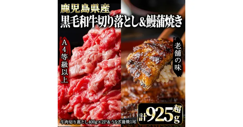 【ふるさと納税】【鰻も牛もどっちもイエェェェーイ！1】 [鹿児島県大隅産うなぎ蒲焼1尾 （約125g〜150g）、鹿児島県産 黒毛和牛 切り落とし 800g（400g×2パック）] うなぎ 鰻 ウナギ 黒毛和牛 牛肉【株式会社nixy 中山亭 鹿屋店】