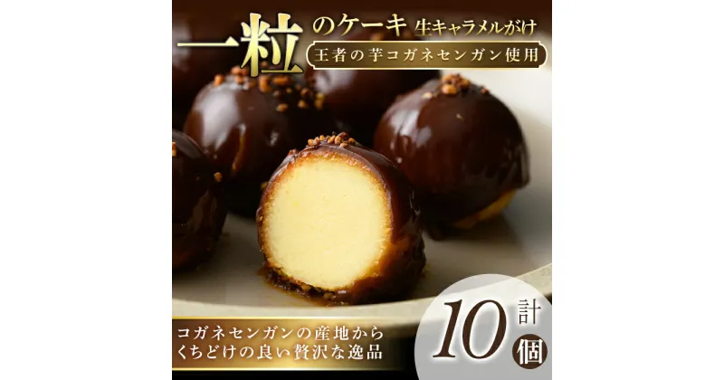 【ふるさと納税】一粒のケーキ 10個 (5個×2箱) 唐芋 芋菓子 洋菓子 お誕生日 バレンタイン ホワイトデー 父の日 母の日 【（株）大隅半島農林文化村】