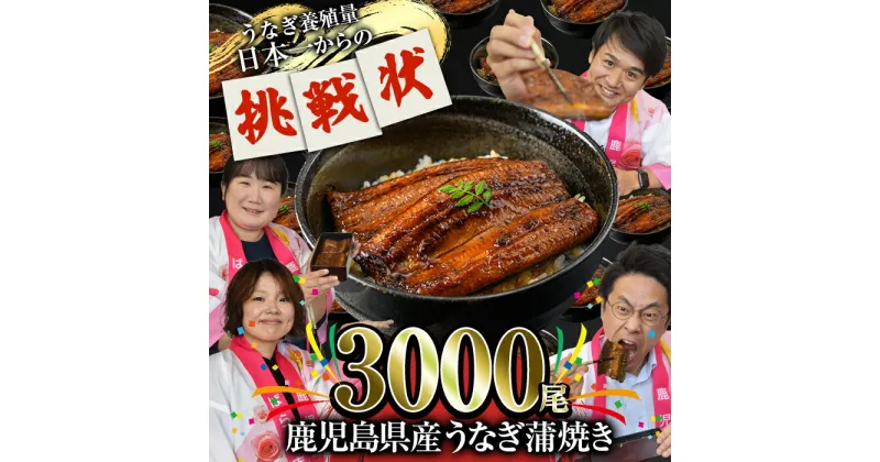 【ふるさと納税】どうぞ、召し上がれ！うなぎ養殖量日本一からの挑戦状！【うなぎ蒲焼き3000尾】うな重 鰻重 鰻丼 ひつまぶし 真空パック 小分け 土用の丑の日【西日本養鰻】