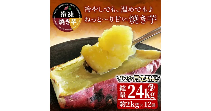 【ふるさと納税】【12回定期便】紅はるか冷凍焼き芋 約2kg（約12～20本）×12回 いも 芋 さつま芋 紅はるか 焼き芋 スイーツ 定期便【さつまいも特集】【株式会社オキス】