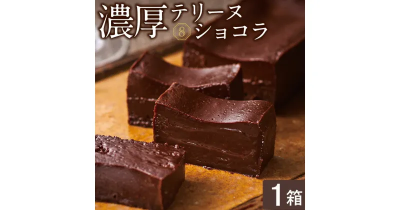 【ふるさと納税】 テリーヌ ショコラ 1箱 オクタス チョコケーキ ベルギー チョコレート スイーツ ギフト デザート 生チョコ ガトーショコラ フォンダンショコラ【財宝】