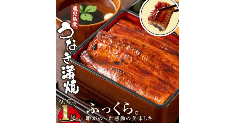 【ふるさと納税】鹿児島産うなぎ160g×1尾 国産ウナギ 冷凍 真空パック たれ付 山椒付き 鰻かば焼き うな重 ひつまぶし【財宝】