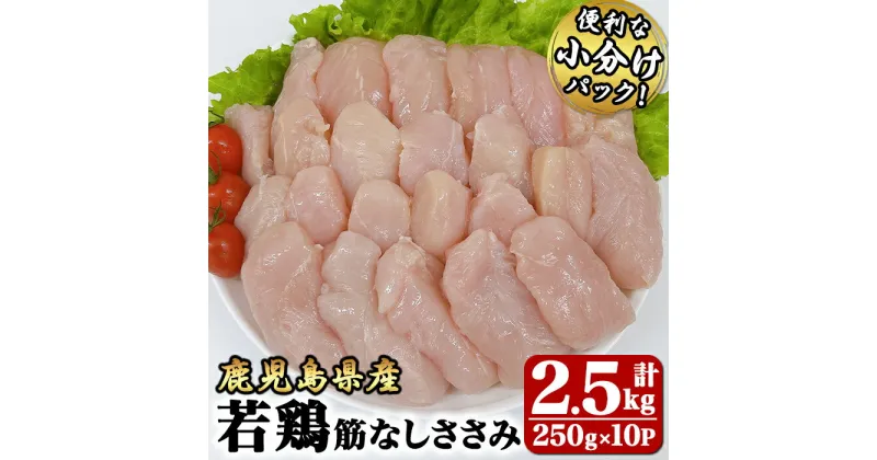 【ふるさと納税】若鶏筋なしささみ2.5kg[250g×10袋]国産 鹿児島県産 鶏肉 鶏 鳥肉 ささみ肉 鶏ささみ ささみ 小分け 真空 冷凍 冷凍保存【株式会社 TRINITY】