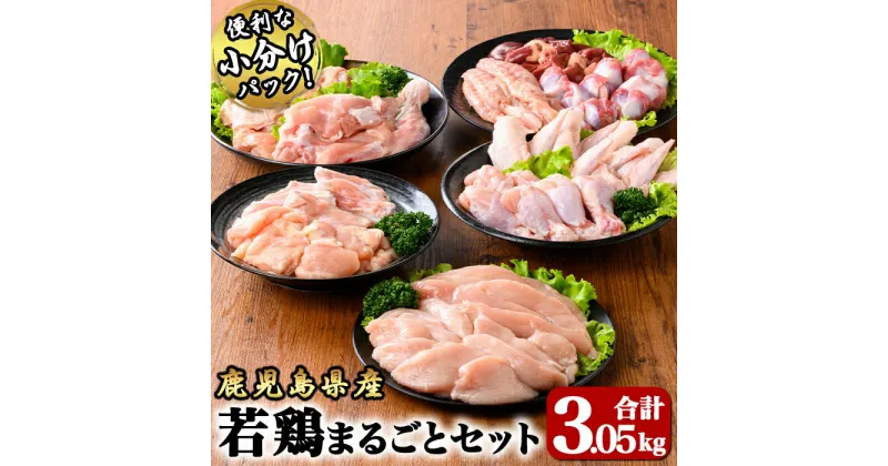 【ふるさと納税】若鶏まるごと3.05kgセット[モモ切身・ムネ切身・筋なしささみ・手羽元・チキンリブ・手羽先・砂肝・肝・肩肉・小肉・骨付モモ]国産 鹿児島県産 鶏肉 鶏 鳥肉 鶏もも 鶏むね 鶏ささみ セット 小分け 真空 冷凍 冷凍保存【株式会社 TRINITY】