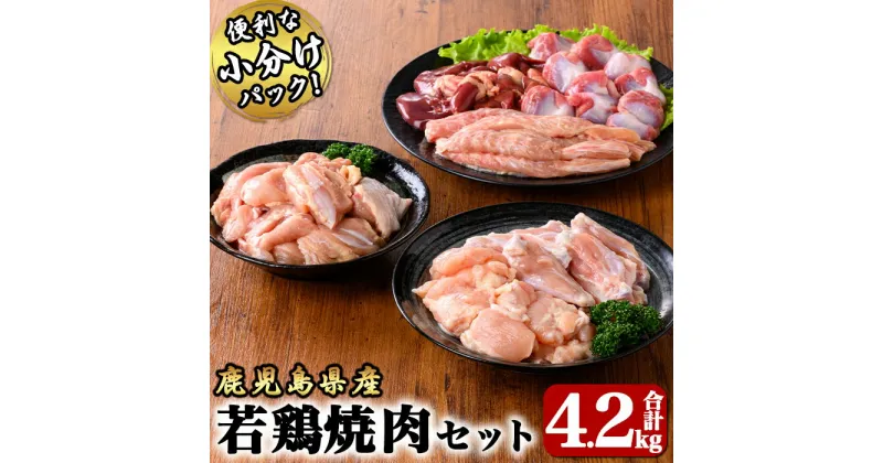 【ふるさと納税】若鶏焼肉4.2kgセットモモ切身1.5kg・肝500g・砂肝500g・小肉500g・チキンリブ600g・肩肉600g 国産 鹿児島県産 鶏肉 鶏 鶏モモ もも肉 焼肉 唐揚げ セット 小分け 真空 冷凍 冷凍保存【株式会社 TRINITY】