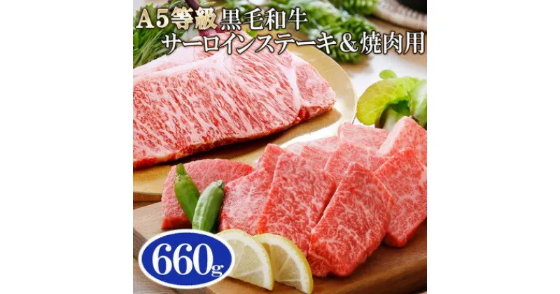 【ふるさと納税】【レビューキャンペーン】_A5等級黒毛和牛サーロインステーキ2枚&焼肉用(計660g) C0-16_ 牛肉 ステーキ サーロイン 焼肉 黒毛和牛 和牛 国産 産地直送 ギフト 贈答 A5 鹿児島県 枕崎 セット 食べ比べ グルメ 【配送不可地域：離島】【1166305】