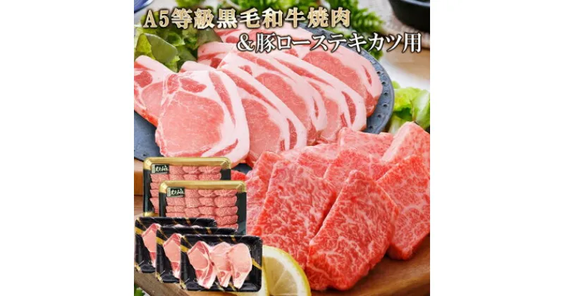 【ふるさと納税】【レビューキャンペーン】_鹿児島県産A5等級黒毛和牛焼肉&豚ローステキカツ用 C0-19_ 牛肉 黒毛和牛 焼肉 ロース カツ用 トンテキ A5 鹿児島 セット 食べ比べ 贈答 A5 豪華 パーティー グルメ 産直 産地直送 BBQ 【配送不可地域：離島】【1166332】