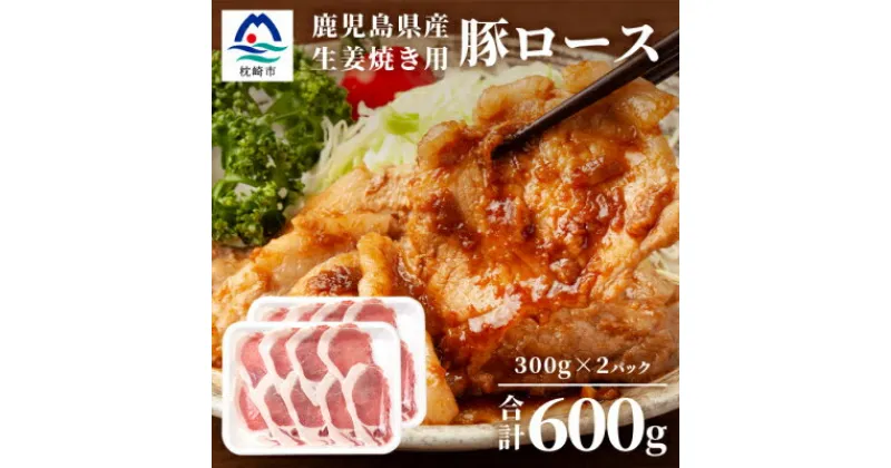 【ふるさと納税】鹿児島県産豚 ロース しょうが焼き用 300g×2パック 豚ロース肉 生姜焼き A3-206【配送不可地域：離島】【1166400】