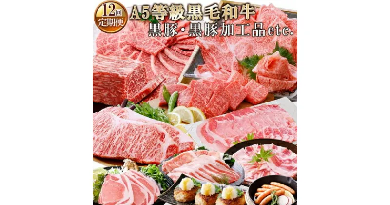 【ふるさと納税】【レビューキャンペーン】_お肉の定期便(12回)枕崎お楽しみ便(A5等級黒毛和牛・黒豚・黒豚加工品etc) KK-6003_ 黒毛和牛 黒豚 ロース ソーセージ スライス サーロイン 赤身 焼肉 ハンバーグ 食べ比べ 定期便 肉 セット 鹿児島 枕崎 産直 【1166746】