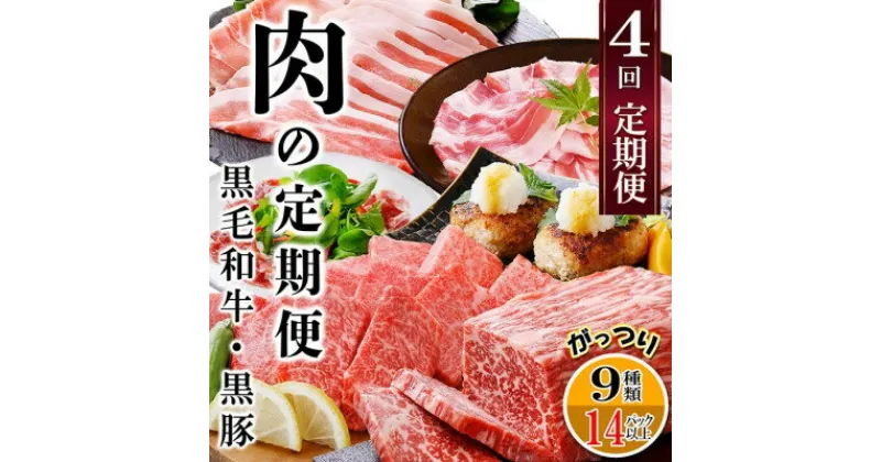 【ふるさと納税】【レビューキャンペーン】_定期便4回配送　肉の定期便 EE-6016_ 定期便 牛肉 肉 お肉 豚肉 黒毛和牛 ロース スライス バラ ハンバーグ しゃぶしゃぶ ソーセージ ぎょうざ 【配送不可地域：離島】【1491491】