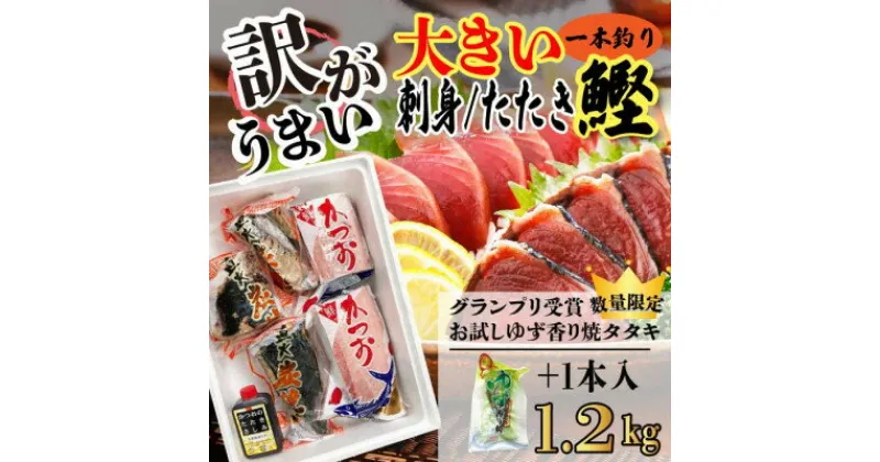 【ふるさと納税】【レビューキャンペーン】_【訳あり・数量限定】大きい!!!サイズの炭火焼鰹タタキ&さしみ　A0-35_ かつお 刺身 カツオ たたき さしみ 産直 鹿児島 枕崎 訳あり 規格外 不揃い 数量限定 ゆず 食べ比べ セット 【配送不可地域：離島】【1508875】