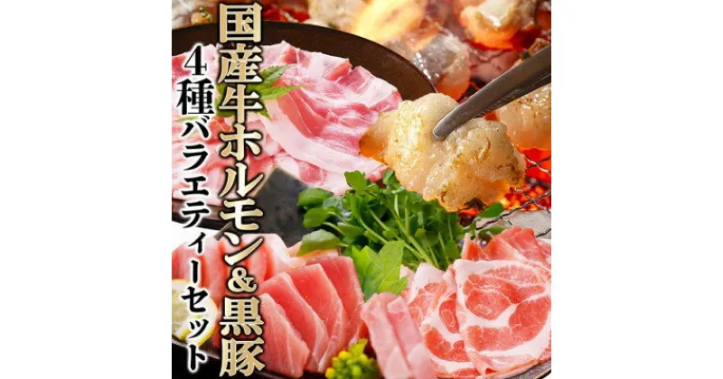 【ふるさと納税】【レビューキャンペーン】_4種バラエティーセット　A8-94_ 豚肉 黒豚 鹿児島県産 ホルモン マグロ 刺身 バラ ロース まぐろ 鮪 【配送不可地域：離島】【1528196】