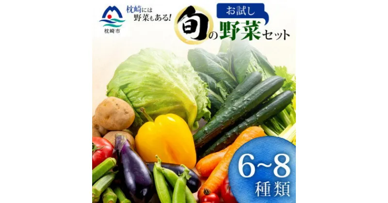 【ふるさと納税】枕崎には野菜もある!!定番・旬のお試し野菜セット　A0-38【配送不可地域：離島】【1535821】