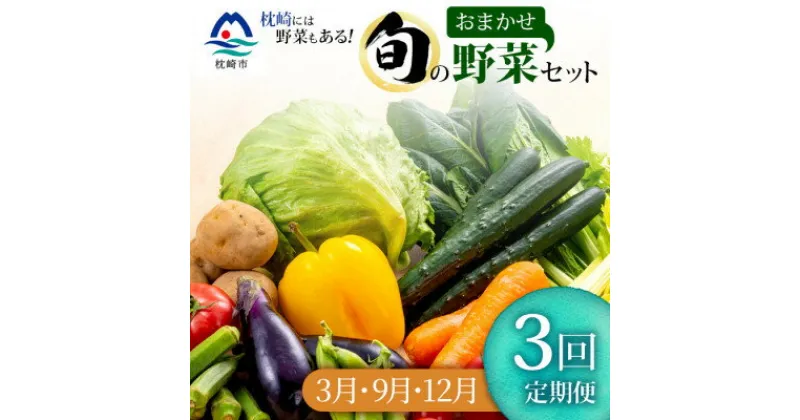 【ふるさと納税】【発送月固定定期便】枕崎の野菜!!定番・旬の野菜お任せセット(3・9・12月)DD0-0009全3回【配送不可地域：離島】【4057594】