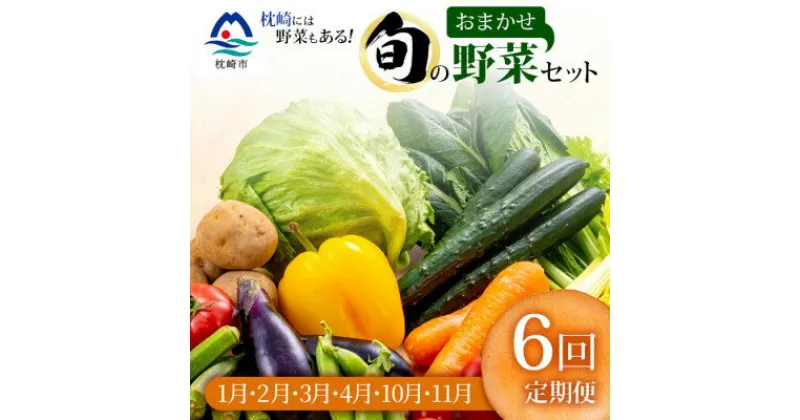 【ふるさと納税】【発送月固定定期便】枕崎には野菜もある!!定番・旬の野菜お任せセット HH0-0002 全6回【配送不可地域：離島】【4057570】