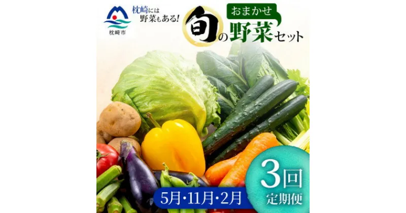 【ふるさと納税】【発送月固定定期便】枕崎の野菜!!定番・旬の野菜お任せセット(5・11・2月)DD0-0008全3回【配送不可地域：離島】【4057567】