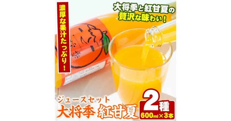 【ふるさと納税】濃厚な果汁！大将季・紅甘夏ジュースセット(合計3本・2種・各600ml) 鹿児島県 阿久根 柑橘 蜜柑 みかん ミカン 飲料 飲み物 おやつ デザート フルーツ 果物 詰合せ ギフトセット【鹿児島いずみ農業協同組合】a-15-43