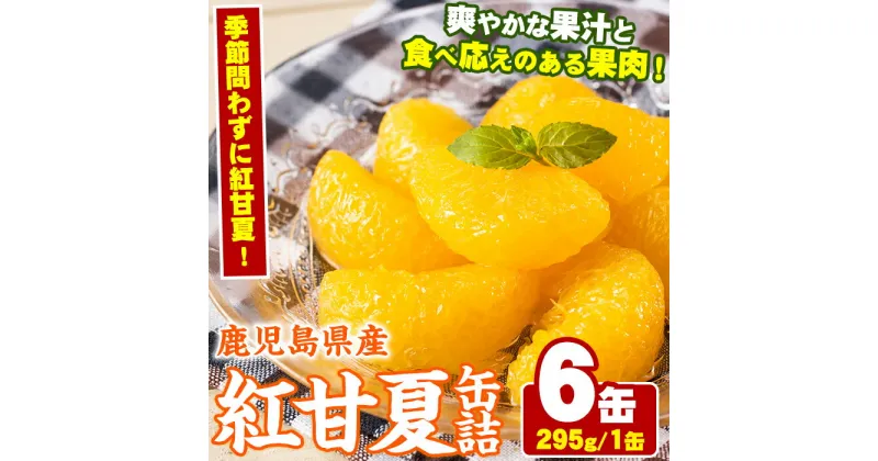 【ふるさと納税】紅甘夏缶詰(295g×6缶) 国産 柑橘 果物 フルーツ あまなつ 加工品 缶詰め デザート おやつ【鹿児島いずみ農業協同組合】a-14-49