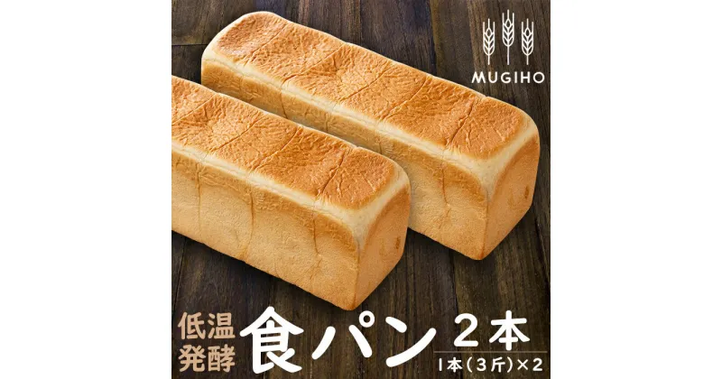 【ふるさと納税】＜国産小麦粉使用＞低温発酵食パン(1本3斤×2本) 高級食パン 食パン パン 朝ごはん 朝食 冷凍 ベーカリー 国産小麦 保存料不使用【パン工房麦穂】