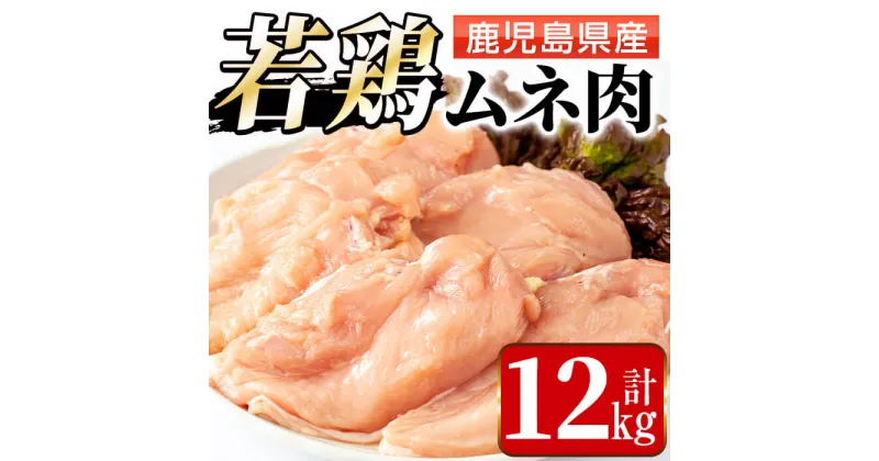 【ふるさと納税】若鶏ムネ肉(計12kg・2kg×6袋) 鶏肉 鳥肉 とり肉 ムネ むね肉 国産 鹿児島県産 2kg 計12kg 安心安全 【まつぼっくり】