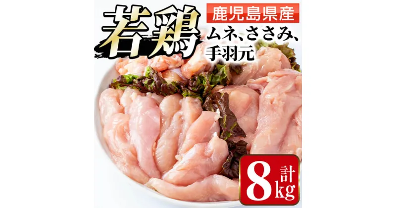 【ふるさと納税】若鶏ムネ肉・手羽元・ささみ(計8kg) 鶏肉 鳥肉 とり肉 ムネ むね肉 手羽元 ささみ 詰め合わせ セット 国産 鹿児島県産 計8kg 安心安全 【まつぼっくり】