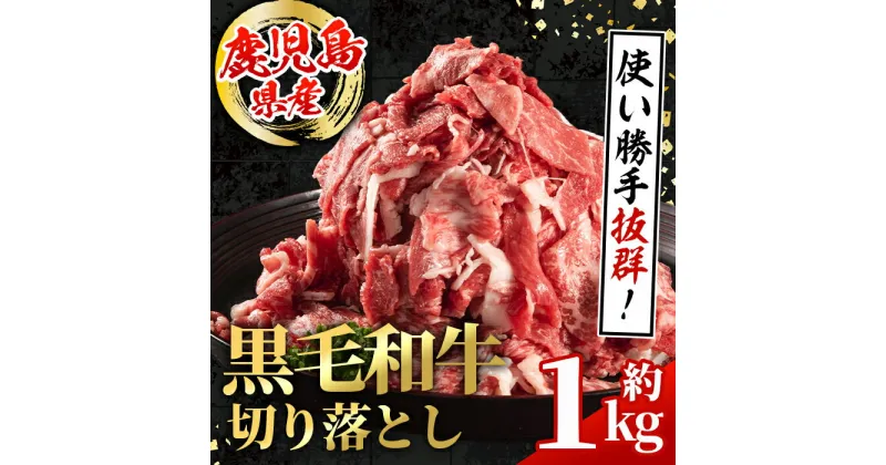 【ふるさと納税】鹿児島県産 黒毛和牛 切り落とし (計約1kg・約500g×2パック) 国産 九州産 鹿児島産 黒毛和牛 牛肉 国産牛 切り落とし 切落し 小分け 冷凍配送 【スターゼン】