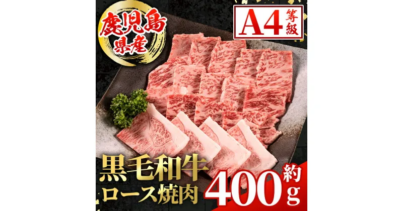 【ふるさと納税】鹿児島県産 黒毛和牛 ロース焼肉用(計約400g) 国産 九州産 鹿児島産 黒毛和牛 牛肉 国産牛 ロース 焼肉 焼き肉 BBQ ロース肉 冷凍配送 【スターゼン】